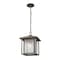 Z-Lite Aspen 1 Light Outdoor, Oil Rubbed Bronze And Clear Seedy 554CHB-ORB - alternate 1